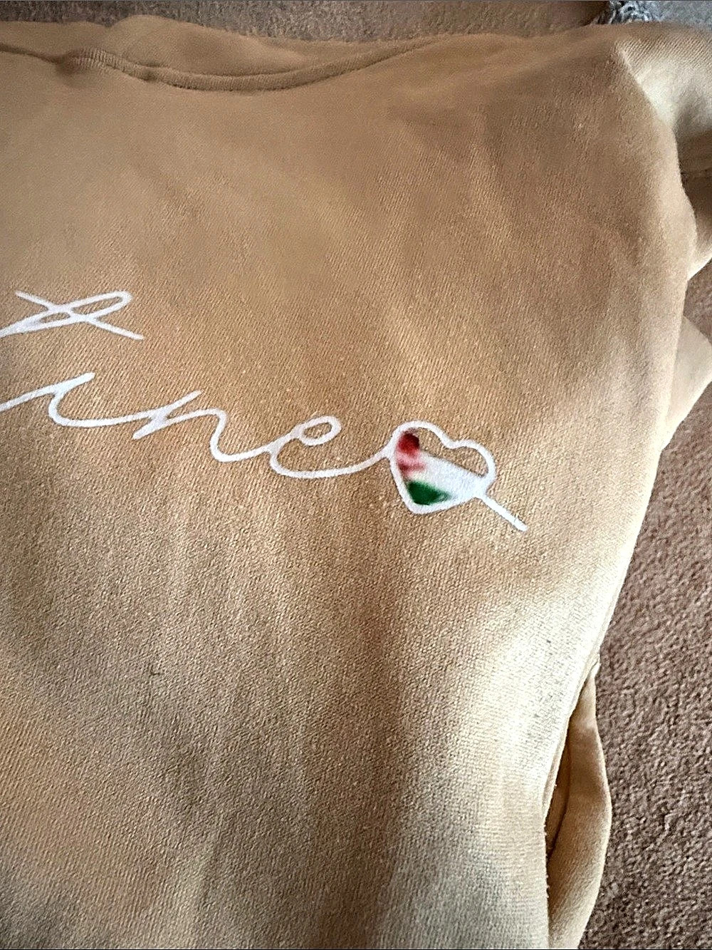 Graphic Hoodie Size Medium in Brown